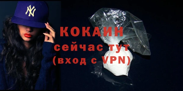 спайс Ладушкин
