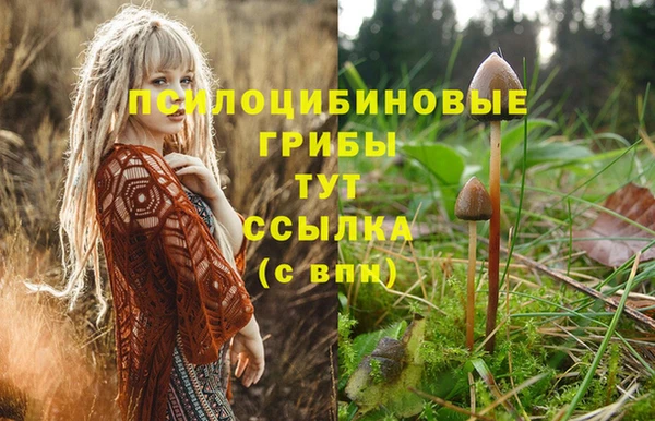 мдпв Арсеньев