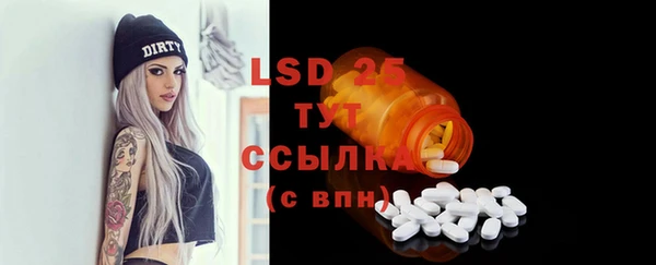 сатива Лабытнанги