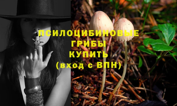 кокс Аркадак