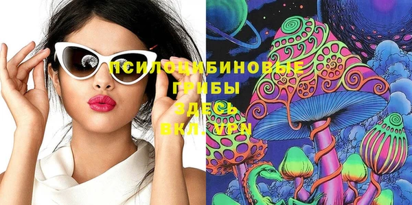 мдпв Арсеньев