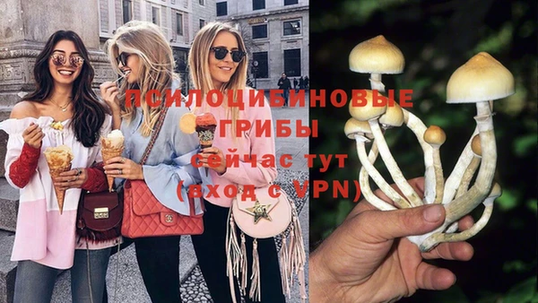 кокс Аркадак