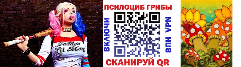 где найти   Мурманск  Галлюциногенные грибы мухоморы 